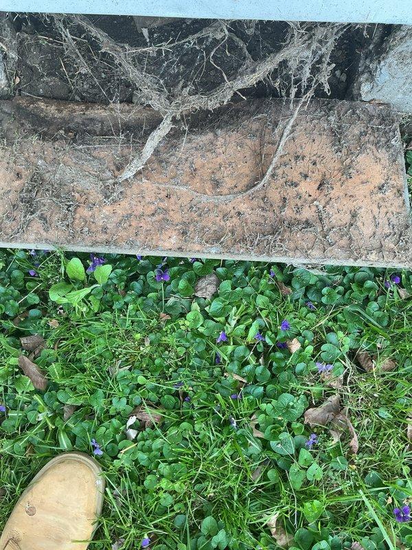 Responded to service call for leak under kitchen sink with suspected damaged supply line. Accessed crawlspace beneath residence to inspect plumbing infrastructure and identify source of water leak. Located compromised pipe connection at kitchen sink supply lines requiring replacement. Removed defective faucet assembly and installed new fixture with proper shut-off valves and supply line connections. Tested all connections for leaks, verified proper water flow and drainage, and ensured system integrity before completing work.