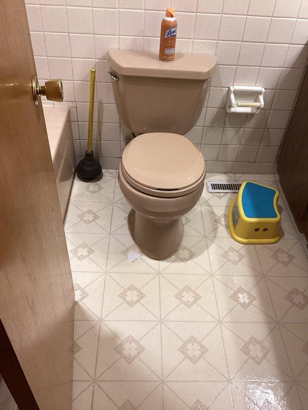 Completed comprehensive plumbing repairs including replacement of leaking tub hardware, rebuilding toilet flush mechanisms in multiple bathrooms, and installing new shut-off valves in two rooms to improve water control and accessibility. Diagnosed and resolved low water pressure issues throughout the residence, restoring proper flow to all fixtures.