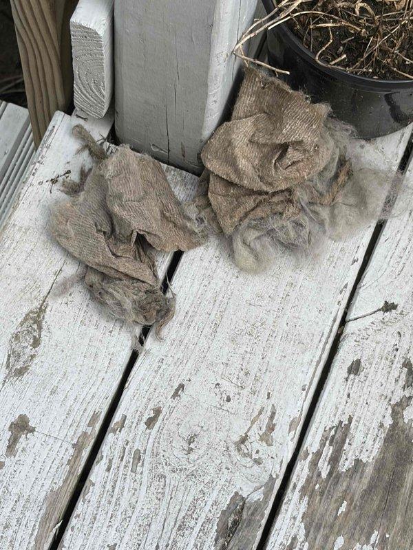 Responded to no cooling call on 5-year-old system with thermostat displaying "no signal" error and complete system shutdown. Upon arrival, diagnosed communication failure between thermostat and HVAC unit, traced wiring issue, and restored proper signal connection. System tested successfully with full cooling operation confirmed and thermostat communication re-established.