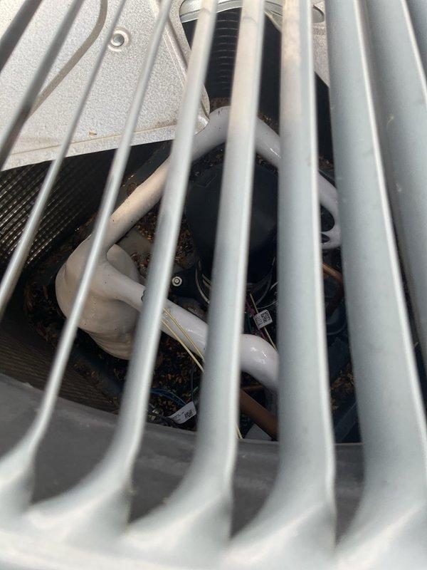 Responded to no cooling complaint on 5-year-old residential HVAC system with indoor temperature at 79°F. Upon inspection, discovered extensive ice buildup on evaporator coil, indicating restricted airflow or low refrigerant charge. Documented ice-covered coil assembly with substantial frost accumulation obscuring coil fins and internal components. Instructed homeowner to turn AC off and set fan to ON position to allow coil to defrost before further diagnostic work could be performed. System requires follow-up service after defrost cycle to diagnose underlying cause of freezing condition, which may include dirty air filter, blocked return air, low refrigerant charge, or failed blower motor components.
