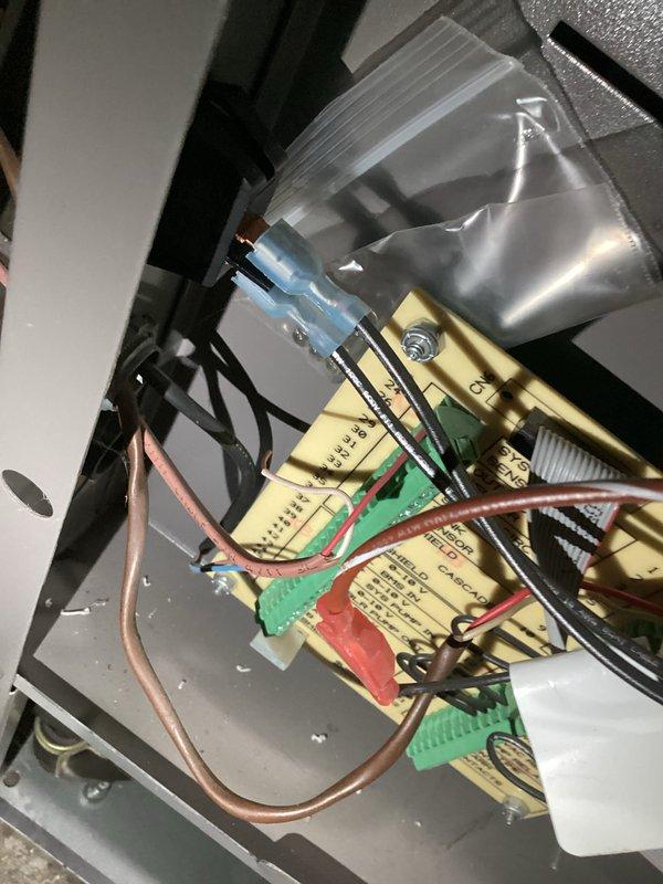 Performed comprehensive maintenance inspection on approximately 5-year-old boiler heating system. Evaluated overall system operation and identified components requiring replacement, including bell housing and backflow preventer. Inspected internal mechanical components, copper piping connections, and electrical wiring throughout the unit. Assessed radiator for removal as requested. System currently operational at time of service. Documented equipment condition with photographic evidence showing baseboard heating distribution system and internal boiler components with existing maintenance tags and connection points.