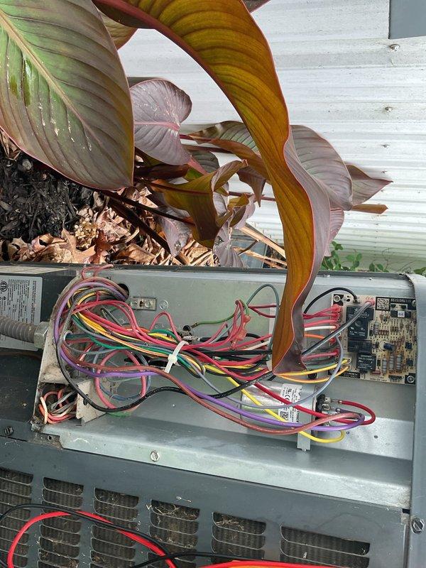 Completed Platinum Level planned maintenance on 6-year-old single-zone HVAC system including replacement of 16x20x5 filter. Inspected outdoor condensing unit, verified electrical connections and control board operation, and documented equipment condition with photographic records showing unit properly positioned in landscaped area with adequate clearance for airflow.