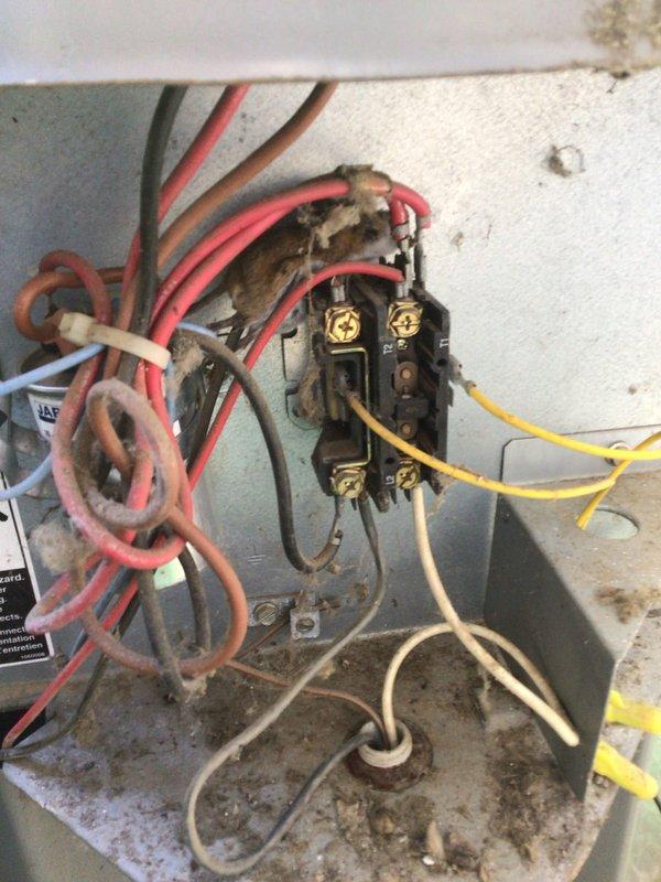 Completed second annual Platinum Level maintenance service on dual HVAC system, both units 20+ years old. Performed comprehensive inspection, cleaning, and testing of both systems including contactors, electrical connections, and condensing units. Noted significant corrosion and aging on electrical components and wiring, consistent with equipment age. Observed overgrown vegetation around outdoor unit requiring clearance for proper airflow and accessibility. Replaced CFI filters, verified system operations, and documented equipment condition with photos. Recommended customer renew annual maintenance agreement for continued coverage.
