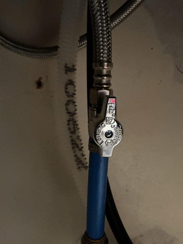 Installed customer-supplied double-handle chrome kitchen faucet with separate spray nozzle attachment on white double-basin sink. Additionally installed 1/2" ball valve on water supply line, connecting blue PVC pipe to flexible braided supply hoses to complete the plumbing installation.