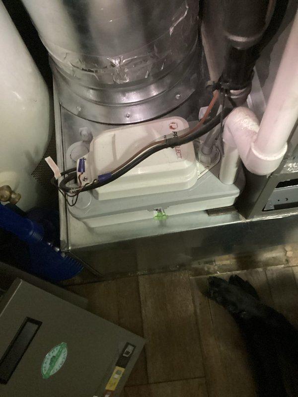 Completed annual Platinum Level maintenance on single HVAC system with 16x25x5 filter. Performed comprehensive inspection of air handler unit including drain pan, condensate lines, and control board components. Verified proper operation of all electrical connections and terminal blocks. Inspected ductwork, condensate management system, and humidifier connections. All components found to be operating within normal parameters with no issues identified during this first annual maintenance visit.