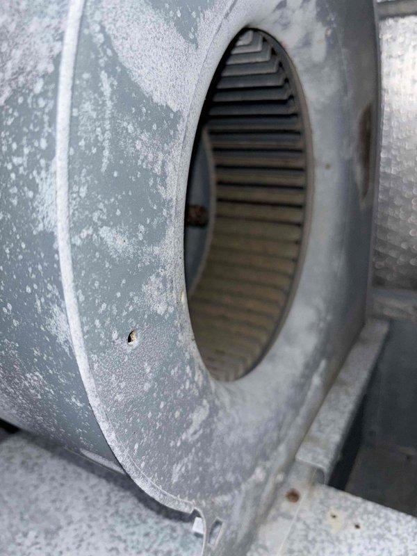 Completed annual Gold Level planned maintenance on 6-year-old residential HVAC system. Performed comprehensive inspection of furnace and evaporator coil assembly, removing upper access panel to examine internal heat exchanger components and refrigerant line connections. Assessed blower motor housing and centrifugal fan wheel, noting moderate dust accumulation on exterior surfaces and internal squirrel cage rotor. Verified proper operation of all mechanical components, inspected ductwork connections, and documented system condition through photographic records. All equipment found operational with routine maintenance successfully completed per manufacturer specifications.