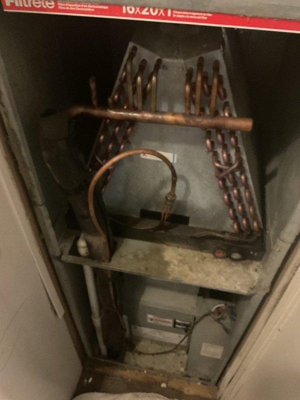 Responded to no cooling call on 7-year-old residential HVAC system with frozen evaporator coil. System was shut down to allow complete thawing of ice buildup on A-frame copper coil assembly. Connected gauges to outdoor condenser unit to verify refrigerant pressures and system operation once defrost cycle completed, ensuring proper airflow restoration through the air handler and return to normal cooling function.