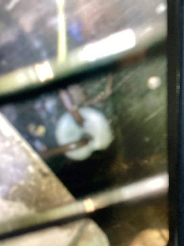 Responded to no cooling complaint on seven-year-old air conditioning system that had experienced frozen evaporator coil earlier in the morning. Upon arrival, allowed system to complete thaw cycle before conducting diagnostic evaluation. Inspected evaporator coil and refrigerant lines, documenting condition of copper linesets and heat exchanger components. System assessed and photographed for service records.