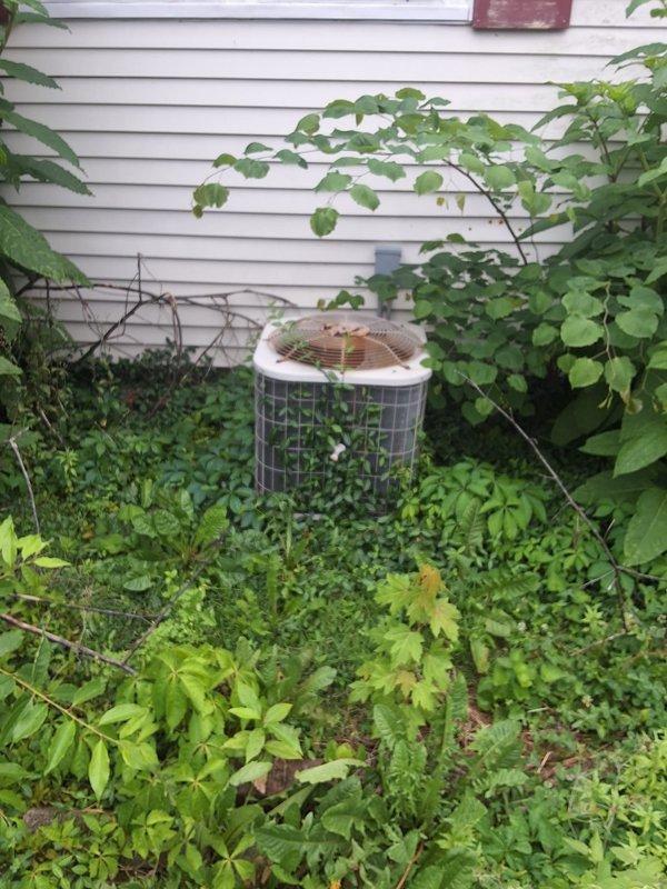 Responded to no heating or cooling call and found 20-year-old thermostat inoperative, preventing system operation. Evaluated outdoor condenser unit which showed signs of age and neglect with significant vegetation overgrowth restricting airflow and debris accumulation on top cover. Measured supply air temperature at 30.5°F, confirming system capability when powered. Diagnosed failed thermostat as primary issue preventing system calls for heating and cooling modes.