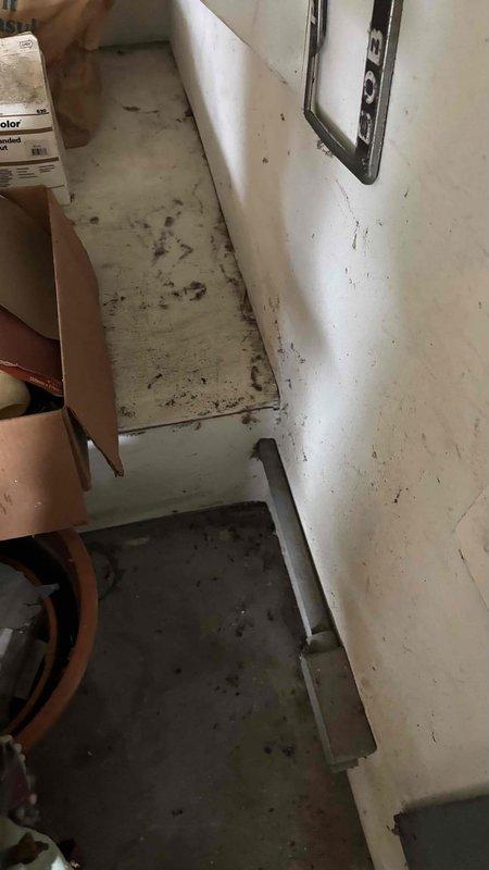 Conducted comprehensive replacement estimate for 12-year-old residential HVAC system with non-functional air conditioning unit. Assessed existing equipment in utility area, documented electrical disconnect with cartridge fuses, evaluated current system configuration, and provided homeowner with replacement options after previous repair attempts by another contractor proved unsuccessful.