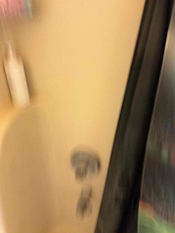Conducted on-site assessment for bathroom conversion project to replace existing bathtub/shower combination with accessible walk-in shower unit. Evaluated current bathroom configuration including beige tiled tub surround, plumbing fixture locations, and existing drainage system. Documented measurements and photographed bathroom layout to determine scope of work including demolition of current tub, tile removal, potential plumbing modifications, and installation requirements for new walk-in shower system with appropriate waterproofing and accessibility features.