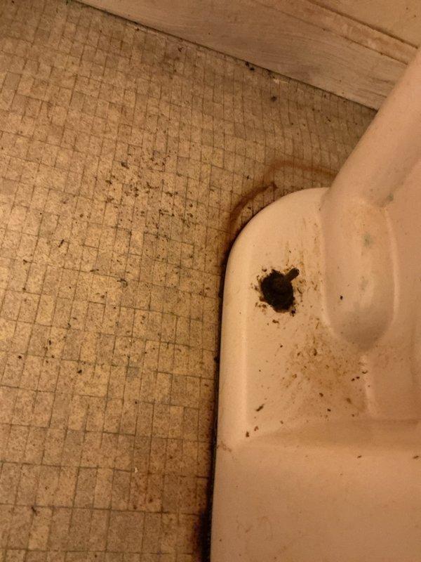 Responded to service call for leaking toilet. Upon inspection, identified water damage and staining around the toilet base, indicating a compromised wax ring seal. Removed toilet, replaced deteriorated wax ring and closet bolts, reset toilet to proper level, and reconnected water supply line. Verified secure mounting and tested for leaks to confirm proper seal and operation.