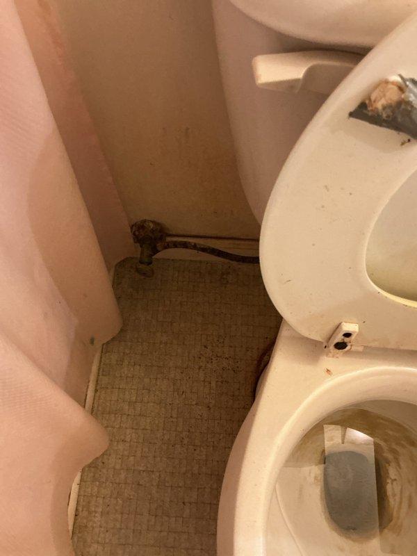 Responded to service call for leaking toilet. Upon inspection, identified water damage and staining around the toilet base, indicating a compromised wax ring seal. Removed toilet, replaced deteriorated wax ring and closet bolts, reset toilet to proper level, and reconnected water supply line. Verified secure mounting and tested for leaks to confirm proper seal and operation.