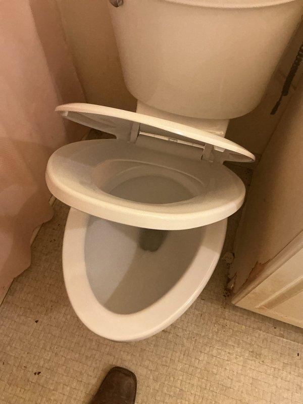 Removed and disposed of existing toilet fixture. Installed new American Standard ADA-compliant elongated toilet with new wax ring, mounting bolts, and supply line. Installation includes a 1-year warranty on the fixture.