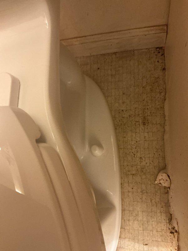 Removed and disposed of existing toilet fixture. Installed new American Standard ADA-compliant elongated toilet with new wax ring, mounting bolts, and supply line. Installation includes a 1-year warranty on the fixture.