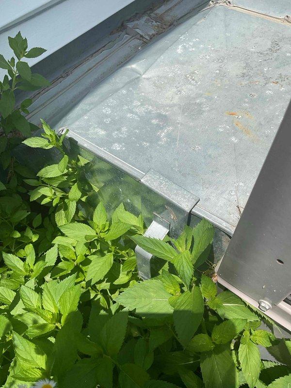 Conducted comprehensive HVAC replacement estimate for residential property. Evaluated existing outdoor condensing unit showing significant weathering, surface corrosion, and discoloration on exterior panels and top louver assembly. Unit positioned on concrete pad against building exterior with vegetation overgrowth around base. Assessed equipment condition, documented current system specifications from manufacturer data plates, and photographed installation site including clearance areas and surrounding landscape conditions. Provided homeowner with detailed replacement options and equipment recommendations based on current system age, visible deterioration, and operational requirements for residential comfort system upgrade.