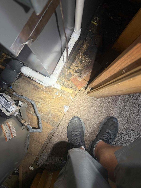 Responded to water leak in basement utility area affecting 1-year-old HVAC system with steady drip migrating toward foundation. Inspected crawlspace and identified compromised drainage system requiring replacement. Documented water damage on wooden flooring near vertical PVC drainage pipes and mechanical equipment. Scheduled follow-up service to rerun drain line using approximately 20 feet of 3/4" PVC pipe and install 20 feet of heat tape for freeze protection. Photographed crawlspace conditions showing debris accumulation and existing drainage configuration, as well as utility closet area displaying water staining on floor surfaces adjacent to plumbing connections.