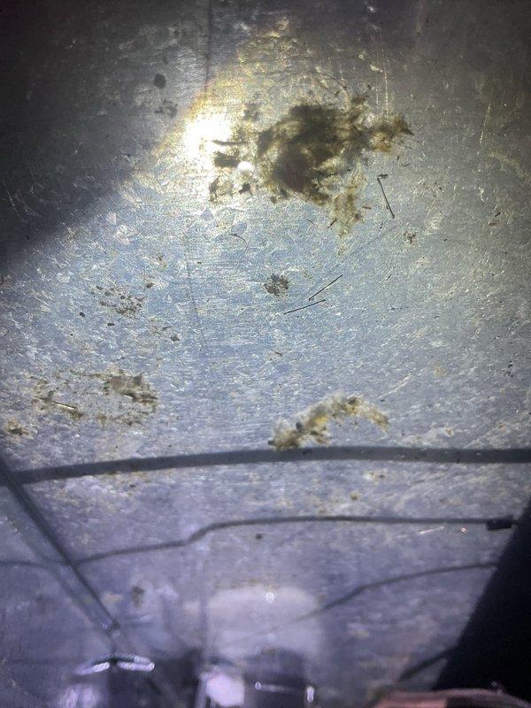 Responded to callback for system shutdown with full drip pan. Upon inspection, found condensate drain line had clogged again despite previous cleaning and pan switch replacement. Removed accumulated debris and buildup from drain pan and interior surfaces. Re-cleared primary and secondary drain lines, verified proper flow and drainage. Flushed system thoroughly and confirmed pan switch operation. Tested unit through complete cooling cycle with no drainage issues or safety switch activation.