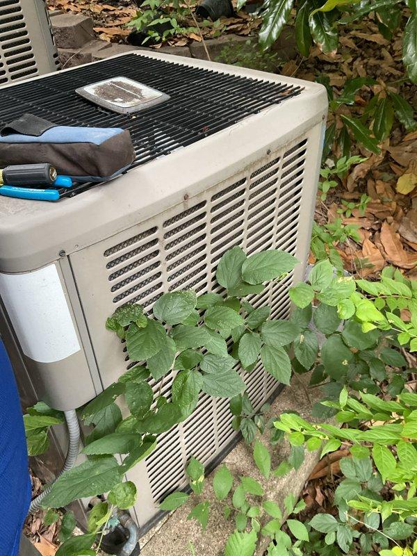 Responded to no cooling complaint and found outdoor condenser unit heavily obstructed by vegetation growth through side vents and surrounding debris accumulation. Cleared plant material from unit housing and removed leaf litter to restore proper airflow to condenser coil. Performed system diagnostics and restored cooling operation to residential air conditioning system.