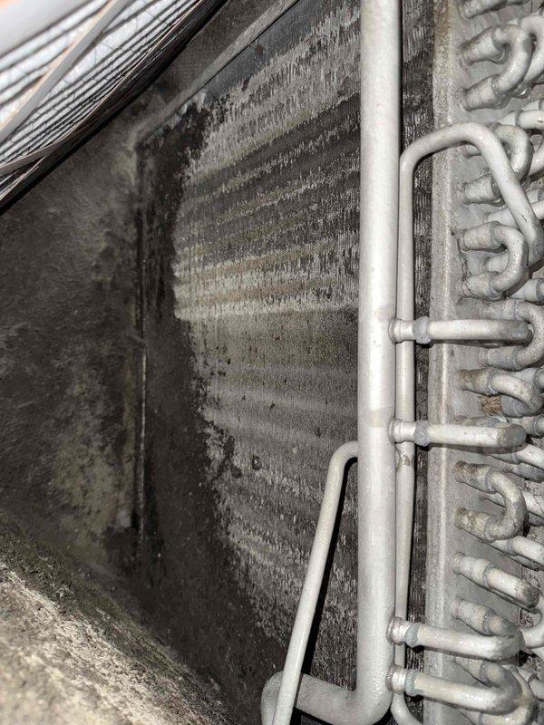 Responded to no-cooling call on 16-year-old heat pump system with tripped breaker. Upon arrival, confirmed breaker would immediately trip when reset, indicating electrical short. Diagnosed failed condenser fan motor causing overcurrent condition and breaker trip. Outdoor electrical disconnect box showed signs of overheating with burnt metal odor. Removed and replaced defective condenser fan motor assembly. Indoor evaporator coil exhibited heavy dirt accumulation, biological growth, and significant debris buildup affecting airflow and system efficiency. Cleaned evaporator coil thoroughly to restore proper heat transfer and airflow. Inspected all electrical connections at outdoor disconnect and condenser unit, finding evidence of heat damage at motor connections. Replaced damaged wiring and secured all electrical connections per manufacturer specifications. Reset breaker, tested system operation through complete cooling cycle. Verified proper amperage draw on new motor, adequate airflow 