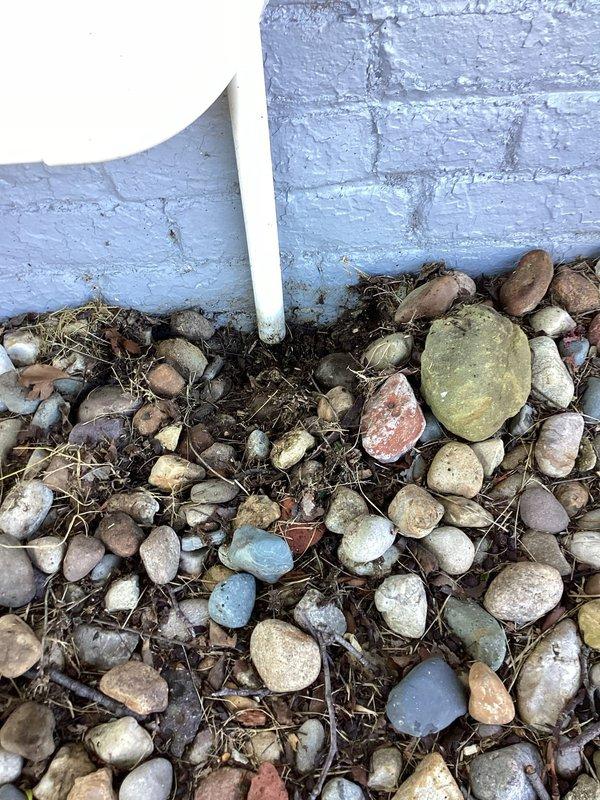 Responded to customer report of water dripping from condensate drain. Upon arrival, confirmed drain line obstruction causing water overflow at exterior discharge point near foundation. Cleared plugged condensate drain line and verified proper drainage flow. Completed scheduled Duo Maintenance on both 4-year-old systems including filter replacements with 16x24x4 filters, system inspections, and performance verification on both units.