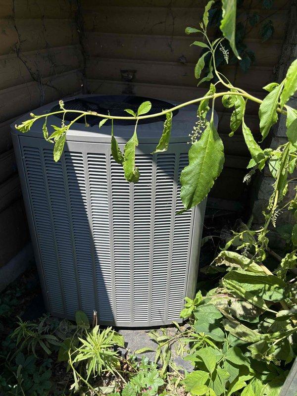 Completed annual planned maintenance on 6-month-old HVAC system during first scheduled visit. Inspected outdoor condenser unit and noted significant vegetation encroachment with plant stems and leaves obstructing airflow around louvers and top panel. Examined indoor evaporator coil assembly through ventilation grille, confirming proper fin condition and component integrity.