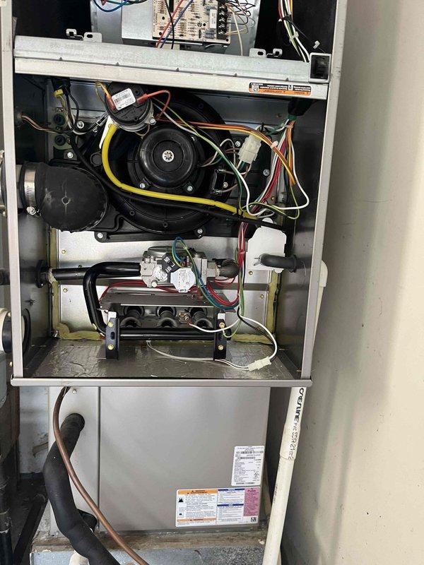 Completed Platinum Level annual maintenance on a 10-year-old single system HVAC unit for new member's first visit. Performed comprehensive inspection of all mechanical and electrical components including blower motor assembly, control board wiring connections, gas valve assembly, and capacitor. Verified proper operation of all system components, checked electrical connections for secure contact, and inspected interior cabinet condition. All components found in functional condition with no immediate service needs identified. Unit operating within normal parameters.