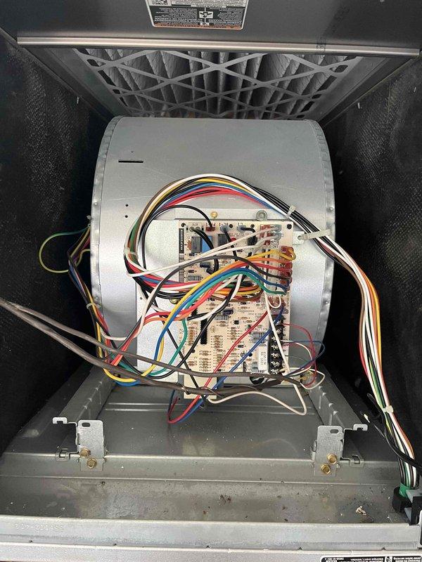Completed Platinum Level annual maintenance on a 10-year-old single system HVAC unit for new member's first visit. Performed comprehensive inspection of all mechanical and electrical components including blower motor assembly, control board wiring connections, gas valve assembly, and capacitor. Verified proper operation of all system components, checked electrical connections for secure contact, and inspected interior cabinet condition. All components found in functional condition with no immediate service needs identified. Unit operating within normal parameters.