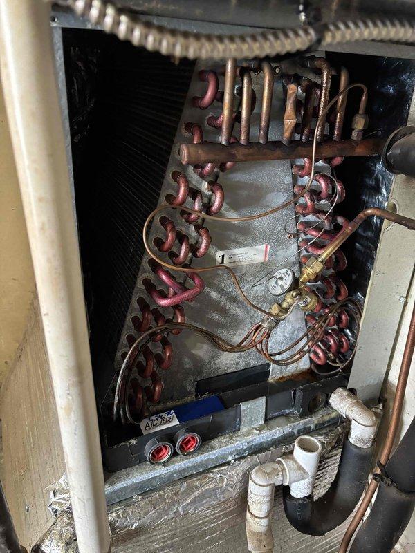 # HVAC Maintenance Service Completed

Performed comprehensive Platinum Level maintenance on a 6-year-old HVAC system as part of the annual second visit. Conducted thorough inspection of all system components including evaporator coil, heat exchanger assembly, and refrigerant lines. Replaced 16x25x5 air filter to maintain optimal airflow and system efficiency.

Inspected evaporator coil assembly and copper refrigerant lines, noting age-appropriate patina development on copper surfaces. Verified integrity of U-bend copper piping configuration and checked all brass fittings and connection points for secure sealing. Examined condensate drain pan for proper drainage and cleared any accumulated debris from the collection tray. Confirmed PVC condensate drain line functionality to prevent water backup.

Measured supply air temperature at ventilation register, recording 56.1°F reading to verify proper cooling performance. Assessed condenser fins and heat exchanger components for cleanliness and
