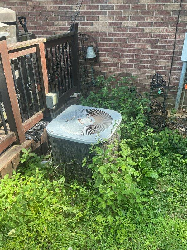 Conducted comprehensive site evaluation for complete HVAC system replacement at residential property. Assessed existing outdoor condenser unit with cylindrical design located in overgrown yard area against brick exterior, and indoor furnace system situated in basement utility space with connected ductwork. Documented current equipment conditions through photographic evidence to support replacement estimate proposal. Recommended full system upgrade to modern high-efficiency equipment to improve energy performance and reliability.