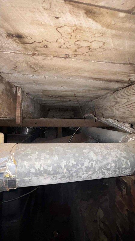 Conducted comprehensive assessment of 25-year-old packaged cooling unit for small residential property (0-1000 sq.ft.). Evaluated existing system condition, noting aged equipment purchased used and nearing end of service life. Documented crawl space installation with evidence of moisture intrusion and water damage to surrounding structural components, including deteriorated flex ductwork with compromised insulation. Photographed basement area and underfloor access points to support replacement recommendation. Provided detailed estimate for complete HVAC system replacement with energy-efficient equipment suitable for property size and packaged unit configuration.