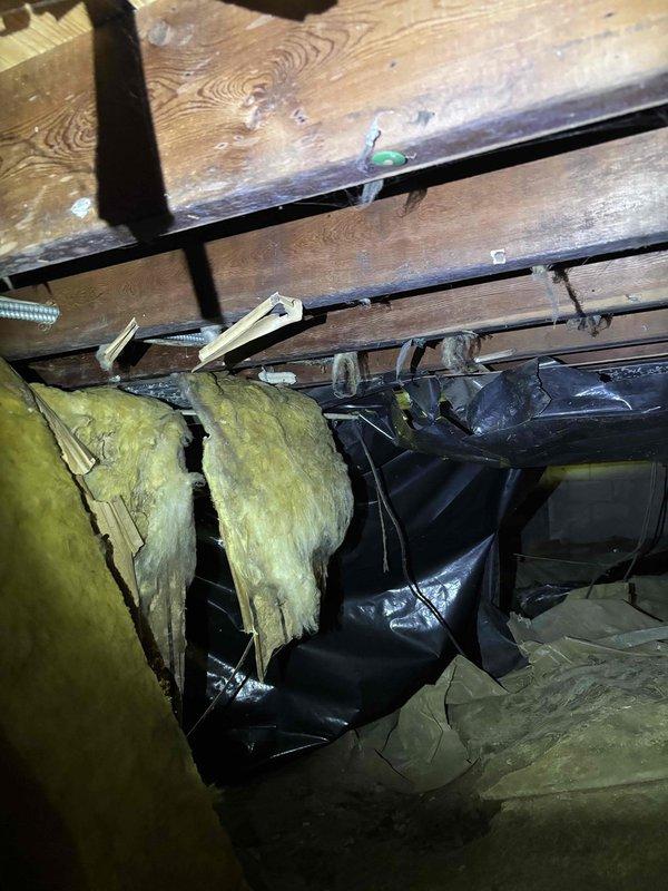 Responded to a no cooling complaint on a 4-year-old system where the back bedroom had no airflow and the rest of the home was warmer than normal. Upon inspection, discovered severe condensation and frost accumulation on supply ductwork in the attic space, indicating inadequate insulation on the duct and possible airflow restriction. The heavy moisture buildup on the metal duct surface was causing reduced air delivery to the affected bedroom zone. Documented the compromised duct insulation showing water staining and compression, as well as the extent of condensation on the uninsulated duct sections. Advised that the ductwork requires proper insulation wrap to prevent condensation issues and restore adequate airflow to all zones.