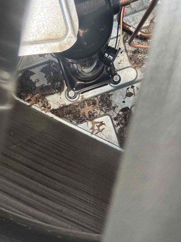 Responded to no cooling complaint on two-year-old residential HVAC system with water accumulation reported at basement unit. Upon inspection, found significant debris accumulation, dirt, and organic matter inside air handler cabinet affecting system operation. Compressor and refrigerant lines showed proper connections, but interior surfaces displayed moisture-related deterioration and contamination. Outdoor condensing unit positioned on concrete pad with proper refrigerant line connections to building. System required cleaning and drainage assessment to restore proper cooling function and address water discharge issue.