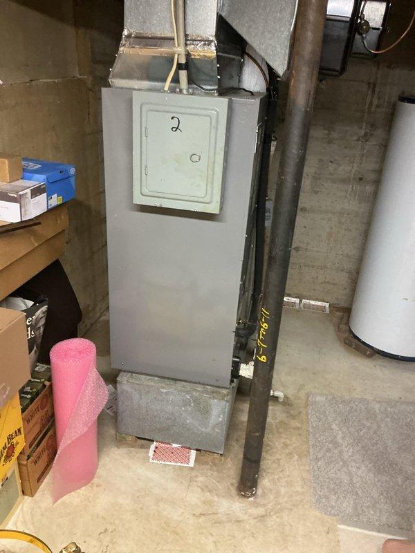 Conducted on-site evaluation of existing water heater in basement utility area to provide replacement estimate. Assessed current tank-type water heater configuration, surrounding plumbing connections, available clearances, and venting requirements. Documented existing equipment specifications and installation conditions through photography. Discussed replacement options with customer including conventional tank water heater versus tankless water heater systems, reviewing advantages and considerations of each option based on household hot water demands and existing infrastructure. Provided comprehensive estimate for water heater replacement with equipment and installation specifications.