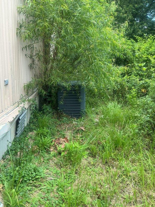 Responded to no cooling complaint on 7-year-old residential system with thermostat set to 68°F but indoor temperature at 81°F. Upon arrival, found outdoor condensing unit heavily obstructed by overgrown vegetation, grass, and bamboo growth restricting airflow to condenser coils and fan grille. Cleared vegetation from around unit perimeter and removed grass growing through equipment. Restored proper clearance around condenser to manufacturer specifications for adequate airflow and heat exchange. System returned to normal cooling operation after vegetation removal and airflow restoration.