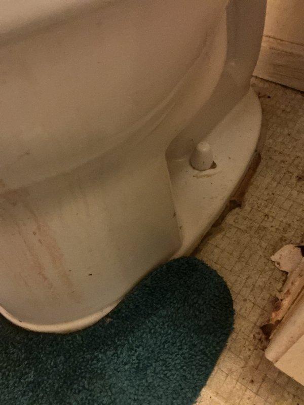 Responded to a return service call for a leaking toilet that had been recently installed and previously serviced for the same issue. Upon inspection, identified water leakage at the base of the fixture. Removed and reset the toilet, replacing the wax ring seal and checking the closet flange for proper alignment and structural integrity. Verified all mounting bolts were properly torqued and ensured a watertight seal between the fixture and drain connection. Tested the toilet for proper operation and confirmed no further leakage was present.