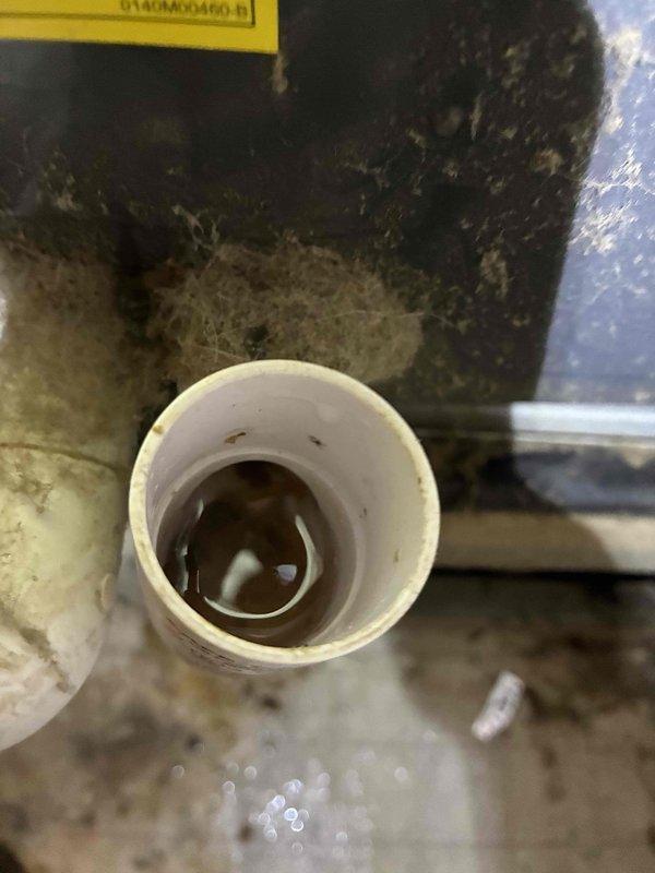 Responded to no cooling call on 6-year-old residential HVAC system with complete loss of function. Upon inspection, discovered severely restricted airflow due to extensive dust and debris accumulation throughout the air handler chamber and return air pathways. Identified clogged condensate drain line with standing water, indicating drainage system failure that likely contributed to system shutdown via safety float switch activation. Performed thorough cleaning of air handler interior, removed heavy particulate buildup from all surfaces, cleared condensate drain obstruction, and verified proper drainage flow. Tested system operation following service, confirmed restored airflow and normal cooling function, and recommended ongoing maintenance schedule to prevent future buildup and ensure optimal system performance.