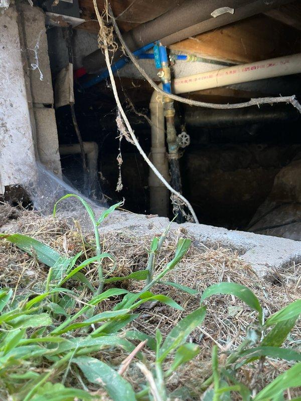 Responded to service call for non-functional outdoor hose spigot attached to exterior wall and assisted with locating main water shut-off valve. Upon inspection, identified outdoor spigot fixture mounted on pink brick exterior wall at ground level. Successfully located main water shut-off valve in crawl space access point beneath structure, identifying blue-handled shut-off valve on water supply line along with associated PVC piping and plumbing infrastructure. Provided estimate for installation of interior shut-off valve as alternative to existing exterior yard valve location that requires access outside property fence line.