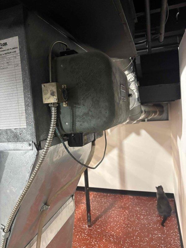 Completed comprehensive HVAC replacement estimate for residential property where existing system was struggling to maintain adequate cooling performance. Evaluated current outdoor condensing unit and indoor air handler installation, documented equipment specifications, electrical connections, and existing ductwork configuration. Provided homeowner with equipment replacement options and system sizing recommendations based on home's cooling requirements.