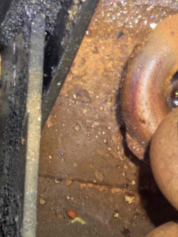 Completed spring maintenance on HVAC system and addressed customer concerns regarding unit leaking. Documented existing corrosion and oxidation on copper refrigerant lines and evaporator coil connections, which show significant deterioration from prolonged moisture exposure. Advised customer that the extensive corrosion visible on piping and coil components indicates advanced age and wear, with moisture accumulation suggesting potential refrigerant leaks that will likely require system replacement in the near term rather than repair.