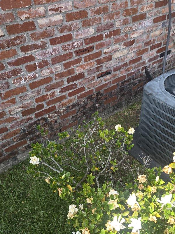 Conducted comprehensive assessment of existing Goodman HVAC system located in attic space and exterior condenser unit to provide estimate for coil replacement or complete system replacement. Documented current equipment condition, ductwork configuration, and installation accessibility through detailed photography of both interior and exterior components.
