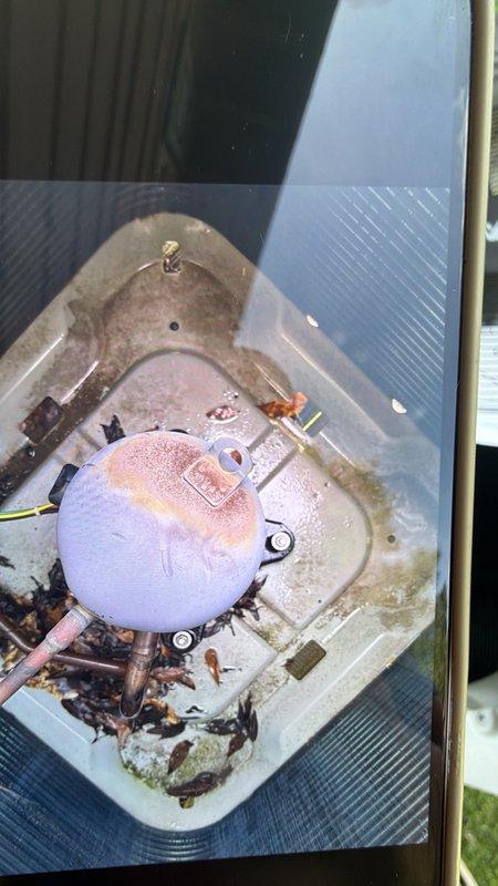Completed annual summer maintenance on single AC unit per Elite Summer Maintenance membership. Performed comprehensive system inspection including refrigerant line assessment, evaporator coil examination, and condensate drain pan evaluation. Documented severely deteriorated foam insulation on refrigerant lines with extensive cracking, flaking, and UV damage exposing copper piping. Noted filter drier/accumulator condition and surrounding component integrity. Inspected evaporator coil and drain pan, observing biological growth, algae accumulation, mineral deposits, and water staining throughout pan interior. Photographed deteriorated insulation requiring replacement and drain pan conditions for customer review and future service planning.