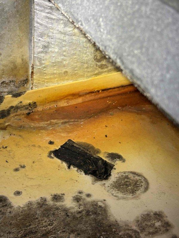 Responded to service call for 20-year-old air conditioning unit experiencing freeze-up and inadequate cooling despite refrigerant being added in August. Upon arrival, performed visual inspection of HVAC system interior, documenting significant dust accumulation on blower motor assembly and general equipment wear consistent with age. Observed moisture-related issues including visible mold growth, staining, and deteriorated surfaces in the air handler area, indicating drainage problems or condensate management failure. Photographed interior components including blower motor housing, electrical wiring connections, and evaporator coil area showing signs of restricted airflow and contamination. Equipment condition suggests multiple contributing factors to freeze-up including dirty evaporator coil, compromised airflow from accumulated debris, and potential drain line blockage causing moisture retention. Awaiting gate code access information from customer to complete full diagnostic evaluatio