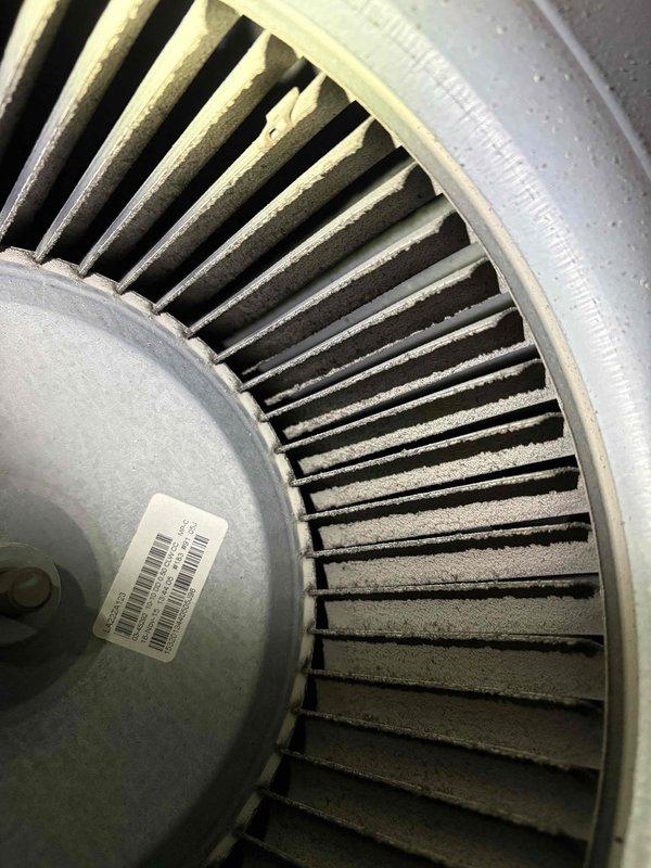 Performed comprehensive air conditioning system inspection in response to concerns about potential refrigerant loss and standing water in drain pan. Found blower wheel assembly heavily coated with dust and debris accumulation, which restricts airflow and reduces system efficiency. Observed standing water in condensate drain pan with visible rust staining and discoloration on metal surfaces, indicating ongoing drainage issues. Documented refrigerant line insulation condition and condensate trap assembly. Customer has been manually removing water with shop vacuum due to drainage system not functioning properly. Recommended thorough blower wheel cleaning, condensate drain line clearing, and system refrigerant charge verification to restore proper operation.