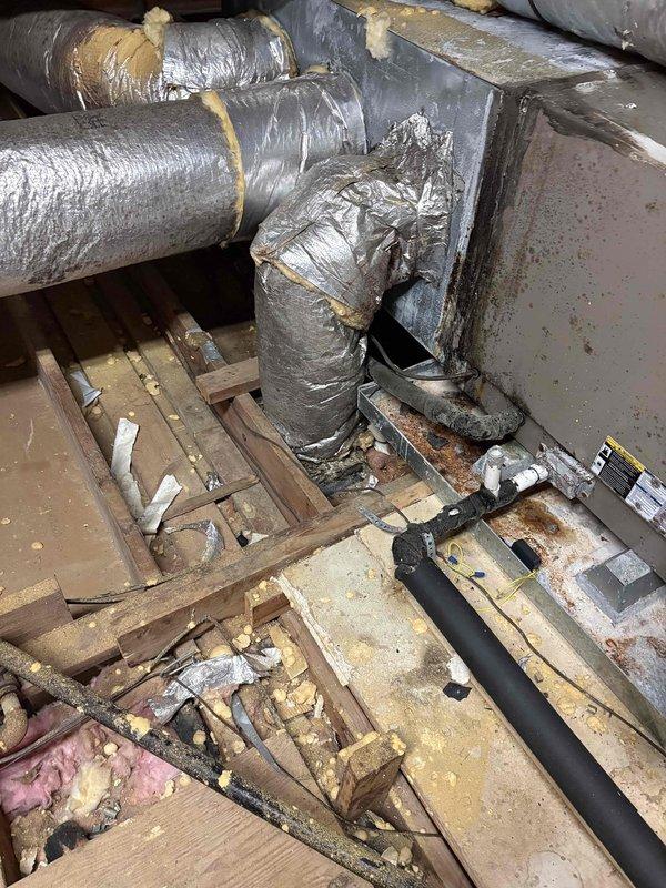 Responded to customer report of water leak originating from upper level and affecting lower areas. Accessed attic space to conduct thorough diagnostic inspection of potential moisture intrusion sources. Examined exposed structural framing, HVAC ductwork, and insulation materials for signs of active leaking, water staining, or condensation issues. Inspected silver-wrapped duct systems and connection points where foam insulation and metallic tape joins were present, checking for compromised seals that could allow condensation to form and drip. Evaluated wooden joists and framing members for water damage, discoloration, or deterioration. Assessed condition of fiberglass insulation for saturation or compression indicating moisture exposure. Documented findings with photographic evidence showing attic infrastructure, ductwork configuration, and structural components to support further evaluation and repair recommendations.