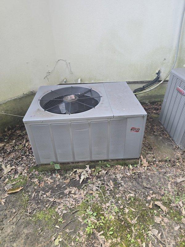 Completed on-site evaluation of dual HVAC condenser installation featuring Ruud and Bryant units positioned against exterior building wall. Documented current equipment condition, noting accumulated organic debris around unit bases, visible wall staining and moisture damage, and existing electrical conduit routing. Assessment included photographic documentation of both condensers, top-mounted fan assemblies, refrigerant line connections, and wall-mounted electrical service components for estimate preparation.