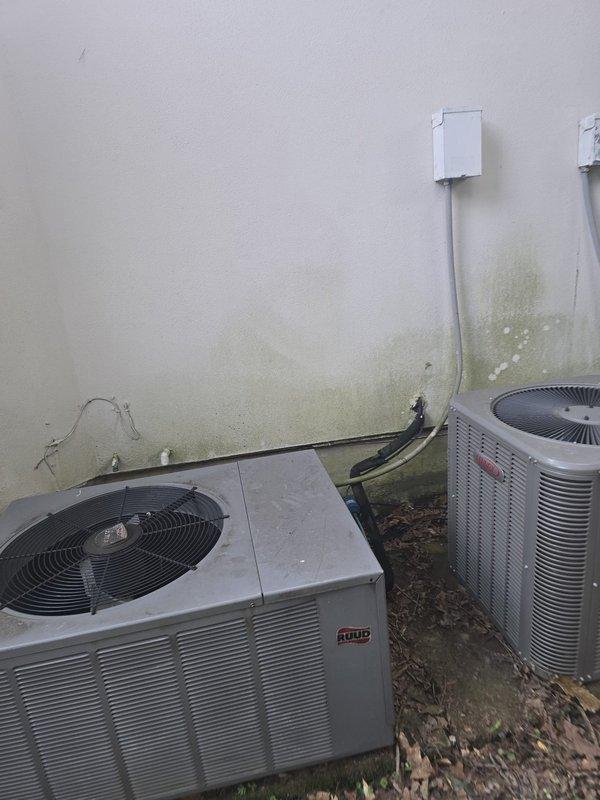 Completed on-site evaluation of dual HVAC condenser installation featuring Ruud and Bryant units positioned against exterior building wall. Documented current equipment condition, noting accumulated organic debris around unit bases, visible wall staining and moisture damage, and existing electrical conduit routing. Assessment included photographic documentation of both condensers, top-mounted fan assemblies, refrigerant line connections, and wall-mounted electrical service components for estimate preparation.