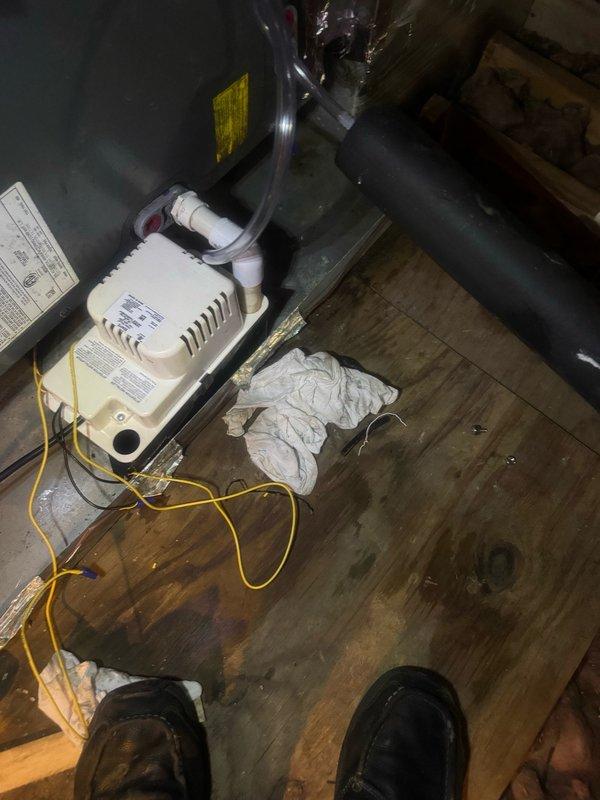Responded to no-cooling call where indoor blower was operating but outdoor compressor remained off despite recent capacitor replacement and new thermostat installation. Performed diagnostic inspection of outdoor condensing unit and indoor air handler components. Documented equipment condition with photographs showing outdoor unit exterior and indoor mechanical components including condensate pump and associated wiring connections for further evaluation and repair recommendations.