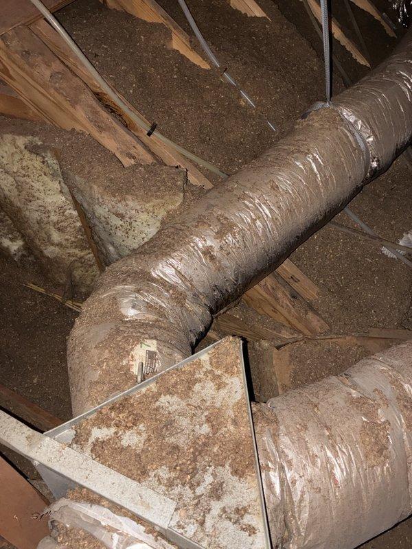 Performed comprehensive tune-up and inspection on an 18-month-old electric air conditioning system with primary concern of drain pan filling every 12 hours. Inspected attic-mounted air handler unit, examined flexible ductwork insulation integrity, and assessed condensate drainage system including PVC drain lines and fittings. Evaluated system operation, verified proper airflow through supply ducts, and checked for potential drainage blockages causing pan overflow condition.