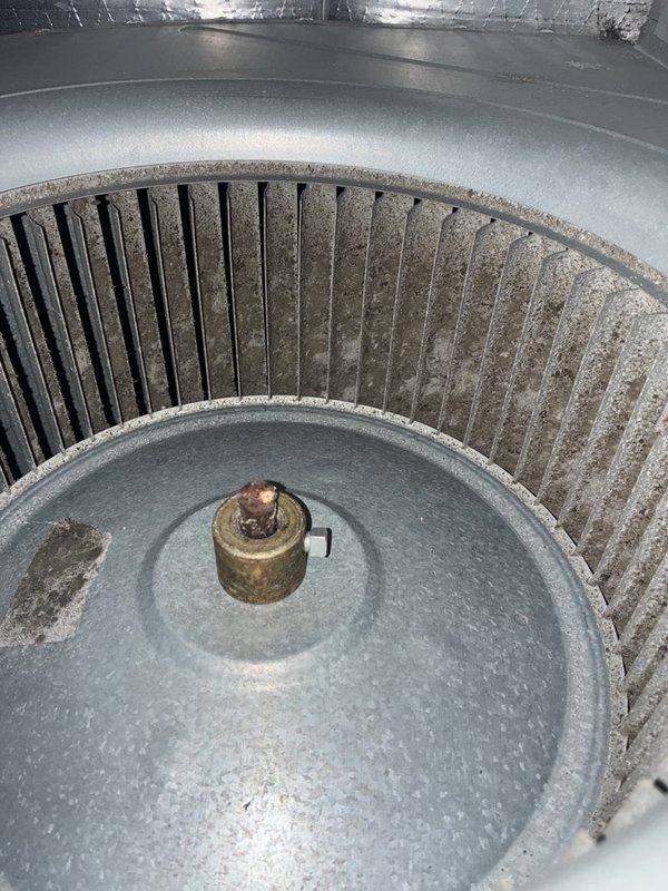 Completed comprehensive heater tune-up and inspection on four HVAC systems. Performed thorough cleaning of blower assemblies, removing dust and debris accumulation from fan blades and housing interiors. Conducted electrical diagnostics using digital multimeter to verify proper voltage readings and system performance across all units.
